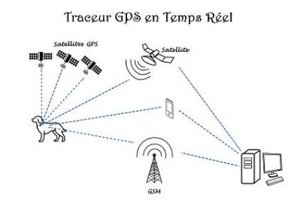 Traceur GPS Chien en temps réel